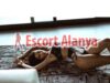 Otele Gelen Alanya Escort Bayan Şeyma